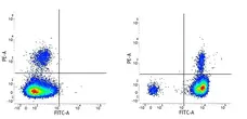 Rat IgG2b Negative Control Antibody gallery image 1