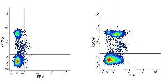 Rat IgG2b Negative Control Antibody gallery image 2