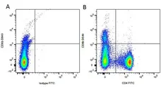 Rat IgG2b Negative Control Antibody gallery image 3