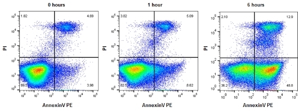 Annexin V:Pe Assay Kit - 200 Tests gallery image 1