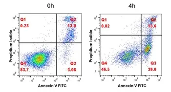 Annexin V Kit gallery image 10