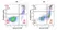 Annexin V Kit thumbnail image 10