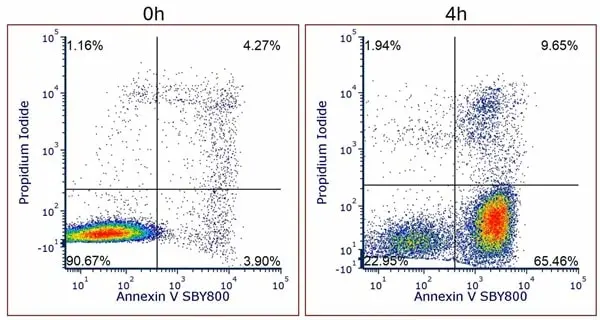 Annexin V Kit gallery image 3