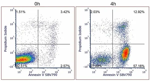 Annexin V Kit gallery image 5