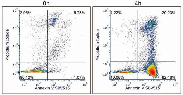 Annexin V Kit gallery image 6