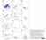 LYNX Rapid APC Antibody Conjugation Kit thumbnail image 2