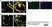 LYNX Rapid APC Antibody Conjugation Kit thumbnail image 3