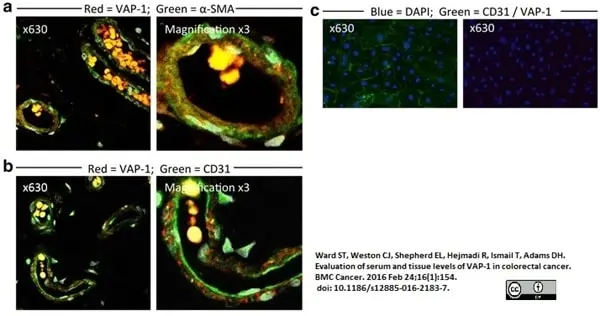 LYNX Rapid APC Antibody Conjugation Kit gallery image 3