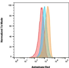 Autophagy Assay, Red Detection Kit gallery image 1