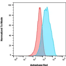 Autophagy Assay, Red Detection Kit gallery image 2