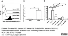 LYNX Rapid Plus Biotin (Type 1) Antibody Conjugation Kit gallery image 1