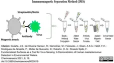 LYNX Rapid Plus Biotin (Type 2) Antibody Conjugation Kit gallery image 1