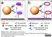 LYNX Rapid Plus Biotin (Type 2) Antibody Conjugation Kit thumbnail image 2