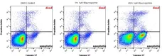 FAM FLICA™ Caspase-3/7 Kit gallery image 1
