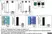 LYNX Rapid Fluorescein Antibody Conjugation Kit thumbnail image 3