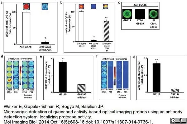 LYNX Rapid Fluorescein Antibody Conjugation Kit gallery image 3