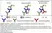 LYNX Rapid HRP Antibody Conjugation Kit thumbnail image 5