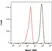 Mito Membrane Potential MitoPT TMRE Kit thumbnail image 1