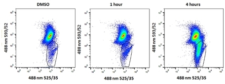 Mito Permeability Transition Kit - 100 Tests | Bio-Rad