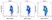 Mito Permeability Transition Kit - 100 Tests thumbnail image 2