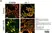 Mito Permeability Transition Kit - 100 Tests thumbnail image 5