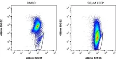 Mito Permeability Transition Kit - 400 Tests gallery image 2
