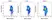 Mito Permeability Transition Kit - 400 Tests thumbnail image 3