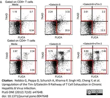 FAM FLICA™ Poly Caspase Kit gallery image 3
