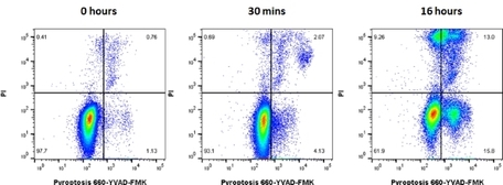 Pyroptosis 660 Caspase-1 Kit | Bio-Rad