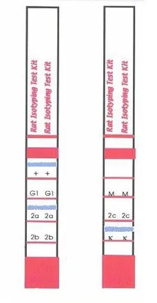 Rat Monoclonal Antibody Isotyping Test Kit gallery image 1
