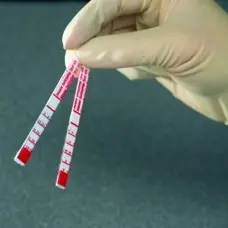 Rat Monoclonal Antibody Isotyping Test Kit gallery image 2