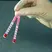 Rat Monoclonal Antibody Isotyping Test Kit thumbnail image 2