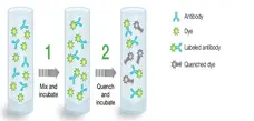 READILINK™ 492/516 Antibody Labeling Kit gallery image 1