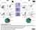 LYNX Rapid RPE-Cy5 Antibody Conjugation Kit thumbnail image 2