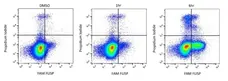 FLISP™ FAM-Phe-CMK Serine Protease Assay Kit gallery image 1