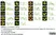 Anti 5-Methylcytidine Antibody, clone 33D3 thumbnail image 14
