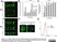 Anti 5-Methylcytidine Antibody, clone 33D3 thumbnail image 6