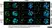 Anti 5-Methylcytidine Antibody, clone 33D3 thumbnail image 8
