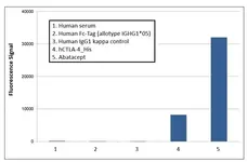Anti Abatacept Antibody, clone AbD37058ia gallery image 1