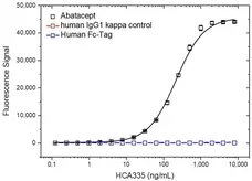 Anti Abatacept Antibody, clone AbD37058ia gallery image 2