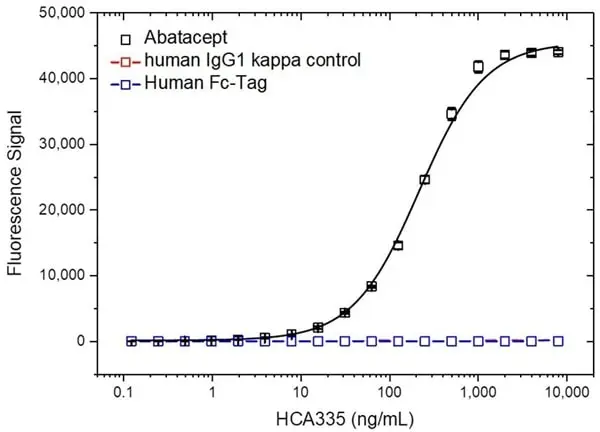 Anti Abatacept Antibody, clone AbD37058ia gallery image 2
