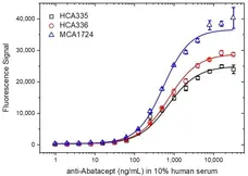 Anti Abatacept Antibody, clone AbD37058ia gallery image 3