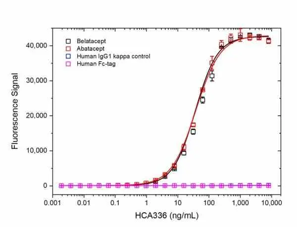 Anti Abatacept Antibody, clone AbD37065ia gallery image 3