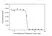 Anti Adalimumab Antibody, clone AbD18655_hIgG1 thumbnail image 4