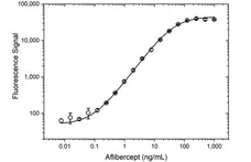 Anti Aflibercept Antibody, clone AbD34644ia gallery image 4
