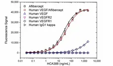Anti Aflibercept Antibody, clone AbD38771ia gallery image 2