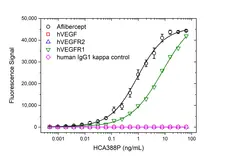 Anti Aflibercept Antibody, clone AbD38771pap gallery image 2