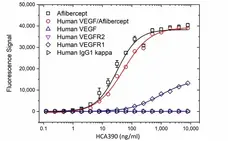 Anti Aflibercept Antibody, clone AbD38778da gallery image 2