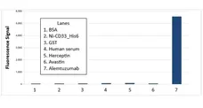 Anti Alemtuzumab Antibody, clone AbD16728 gallery image 1