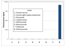 Anti Alemtuzumab Antibody, clone AbD19189_hIgG1 gallery image 1